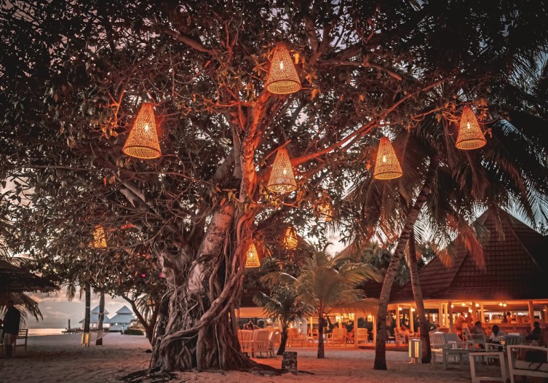 Kulinarik & Restaurants