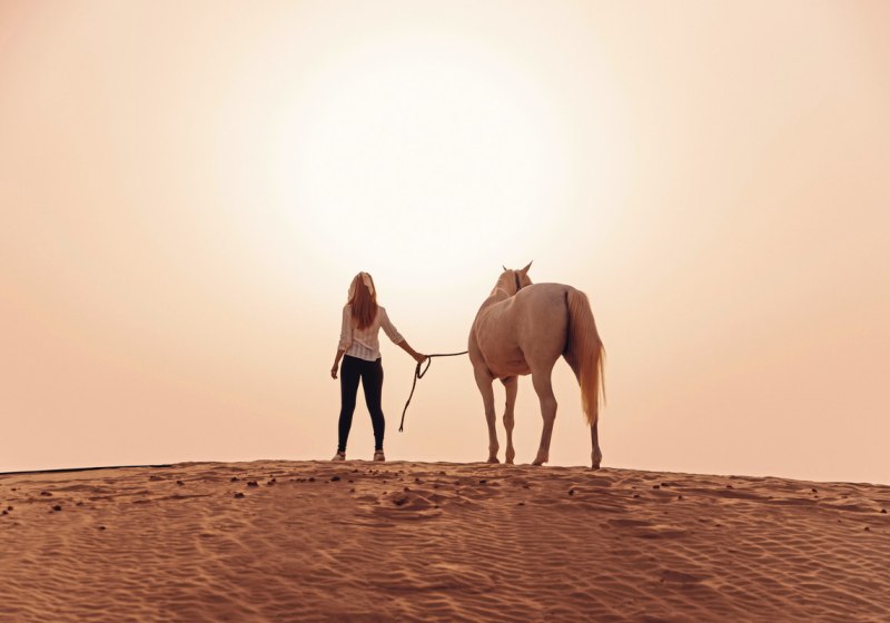 Al Wathba, a Luxury Collection Desert Resort & Spa, Abu Dhabi