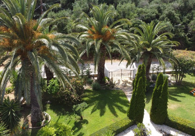 Villa Violetta