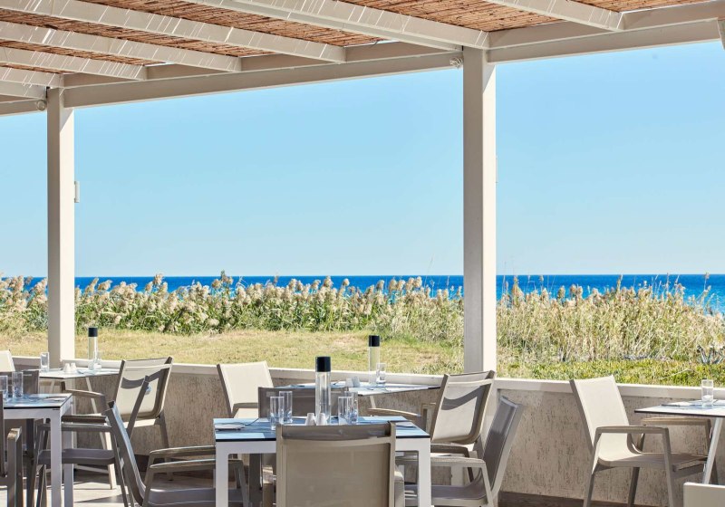 Kulinarik & Restaurants