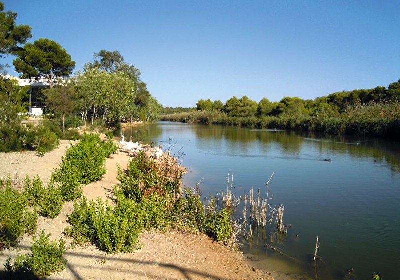 Universal Hotel Castell Royal