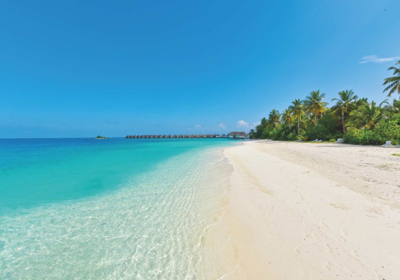 Safari Island Resort & Spa