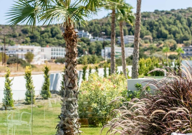 Ausstattung & Service