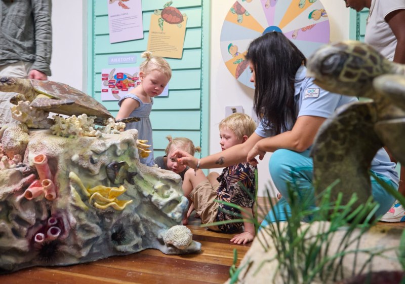 The Ravenala attitude