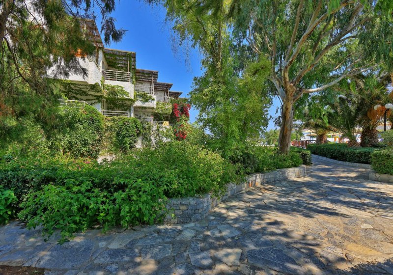 Ausstattung & Service