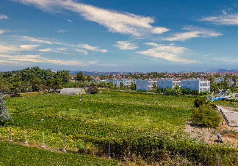 Ausstattung & Service