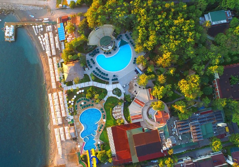 Gypsophila Club Marine