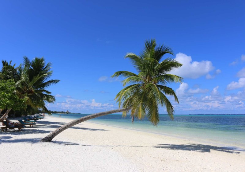 Canareef Resort Maldives