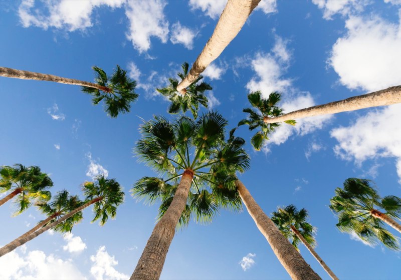 HD Parque Cristobal Tenerife