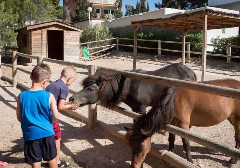 FERGUS Style Cala Blanca Suites