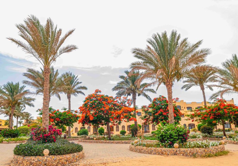 Blend Elphistone Resort