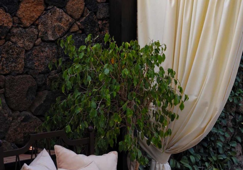 Ausstattung & Service