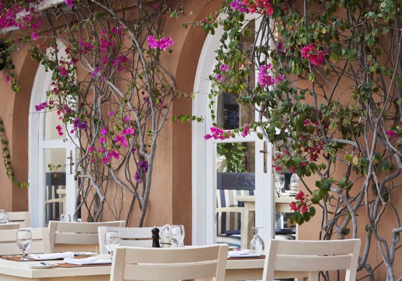 Kulinarik & Restaurants