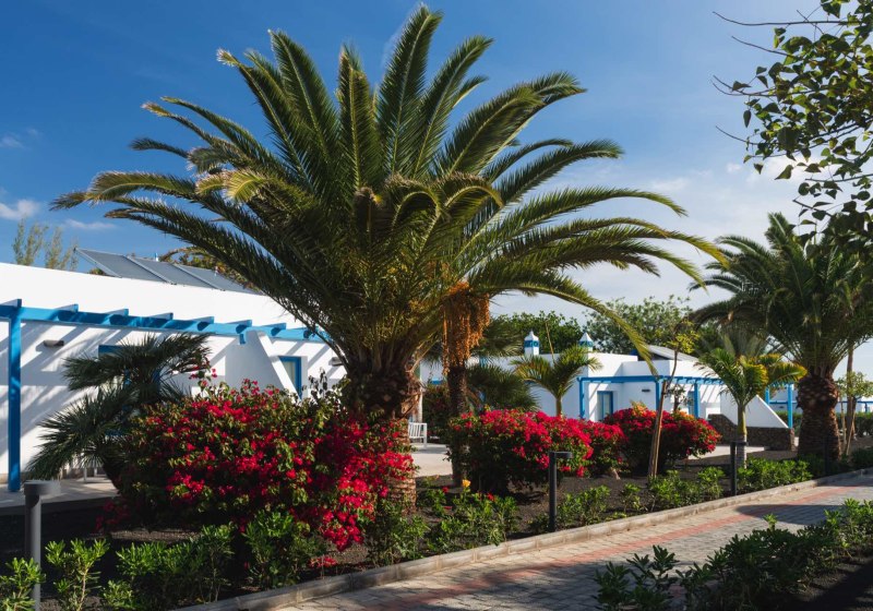 Elba Premium Suites