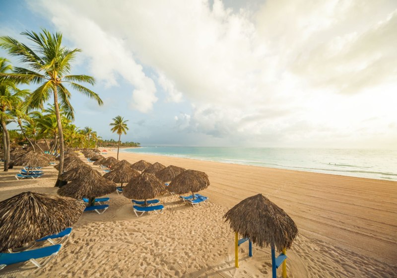 Tropical Deluxe Princess