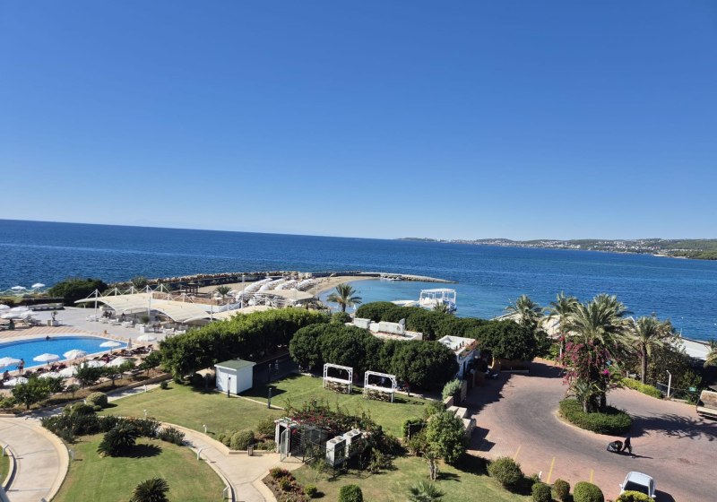 Gold Island Selected