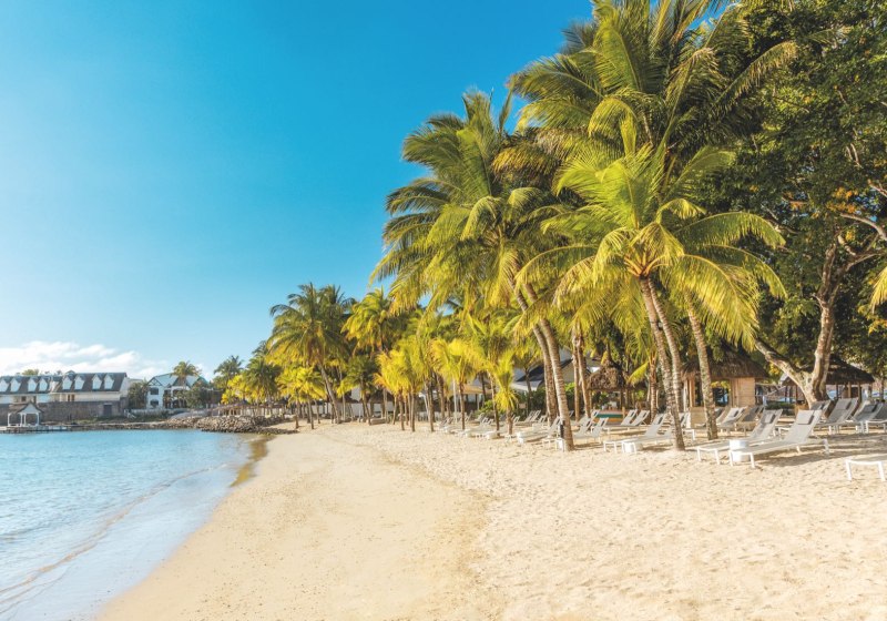 The Ravenala attitude