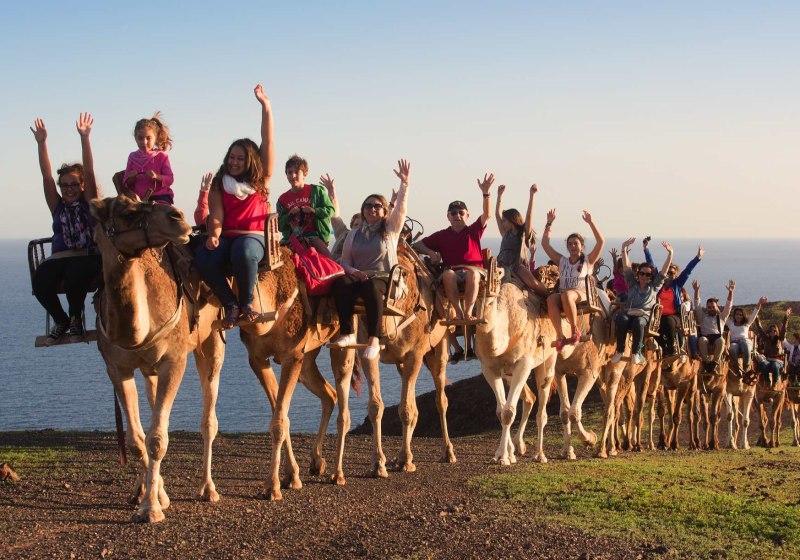 IFA Altamarena by Lopesan Hotels