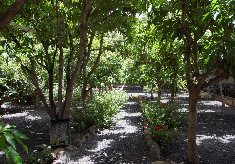 Ausstattung & Service