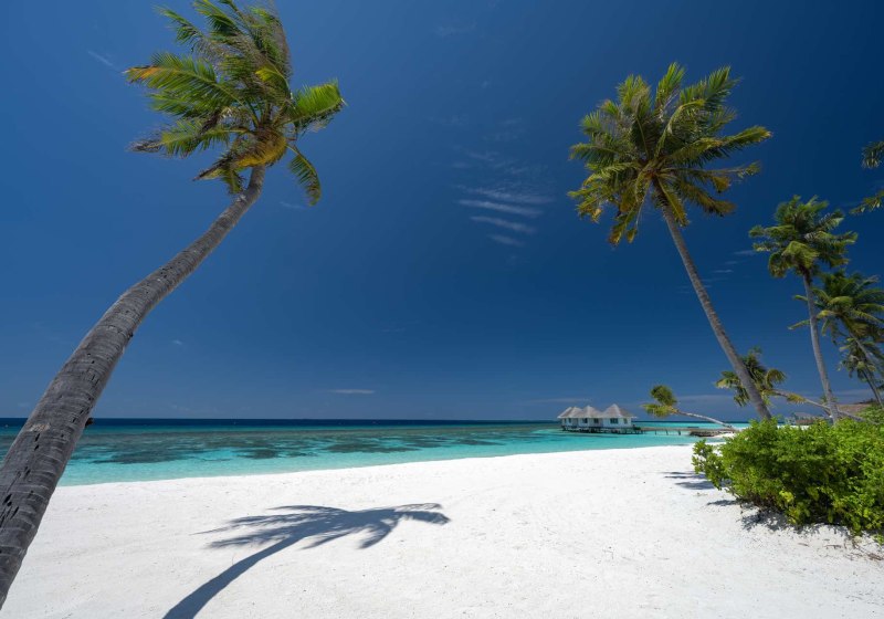 Cora Cora Maldives