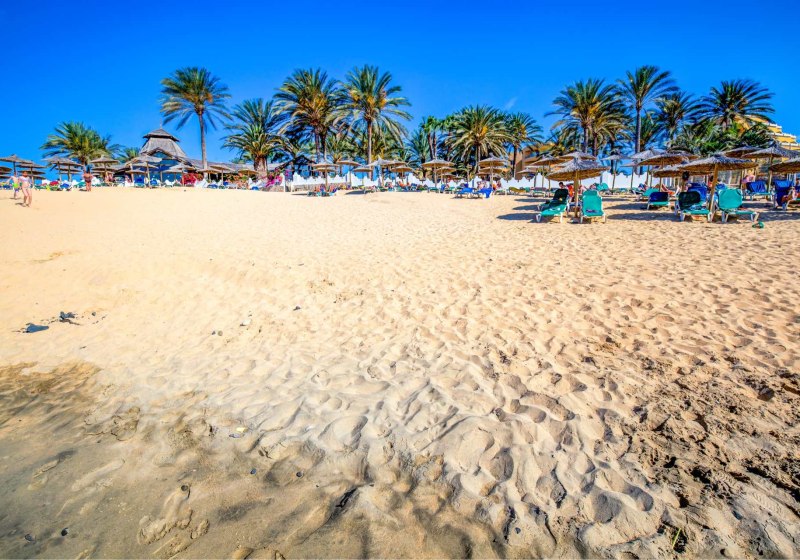 SBH Costa Calma Beach Resort