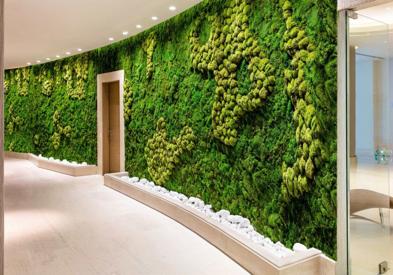 Wellness & Entspannung