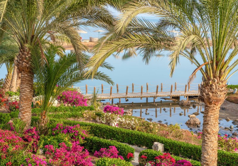 Mövenpick Resort & Spa El Gouna