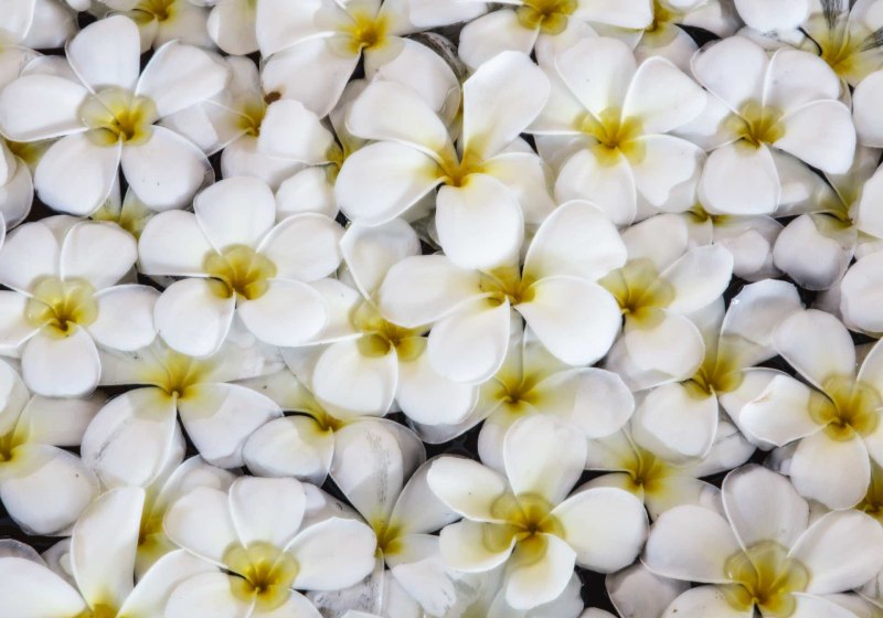 Wellness & Entspannung