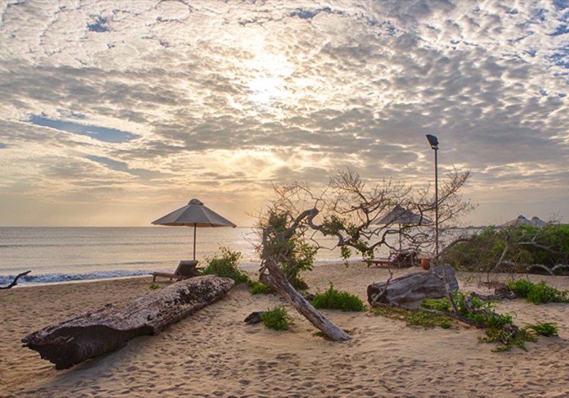 Jungle Beach by Uga Escapes