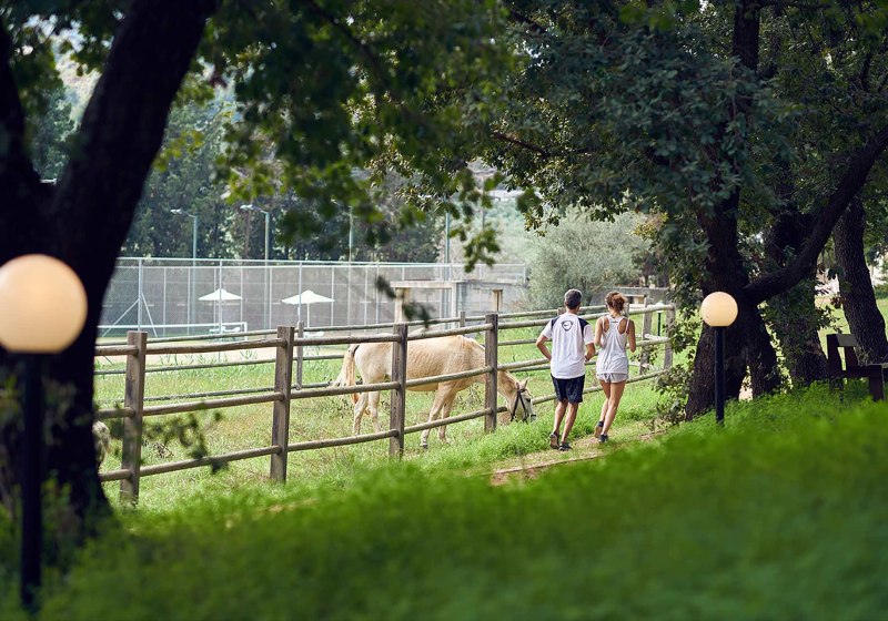 Ausstattung & Service