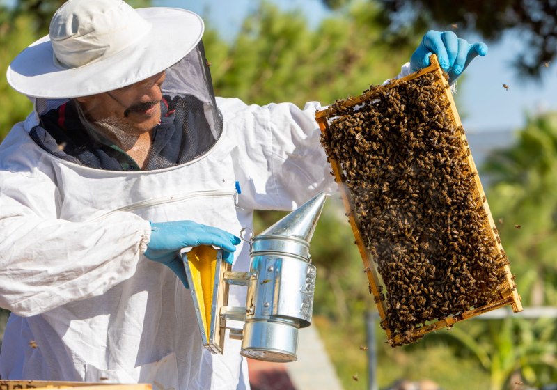 Ausstattung & Service