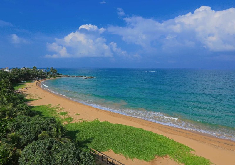 Pandanus Beach Resort & Spa