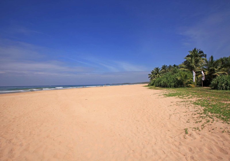 Thaala Bentota