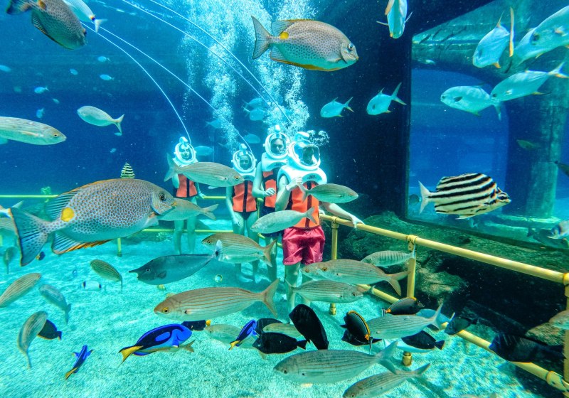 Ausstattung & Service