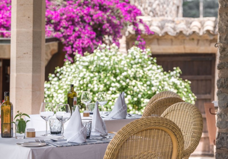 Kulinarik & Restaurants