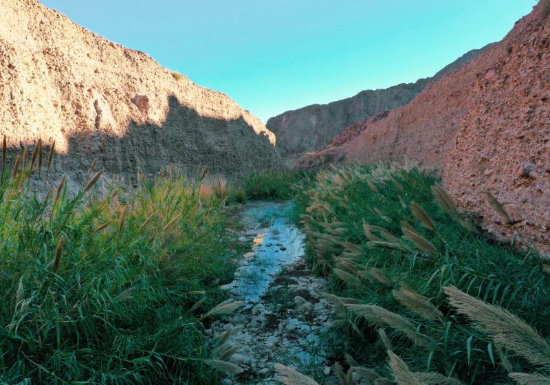 ADDRESS Beach Resort Fujairah