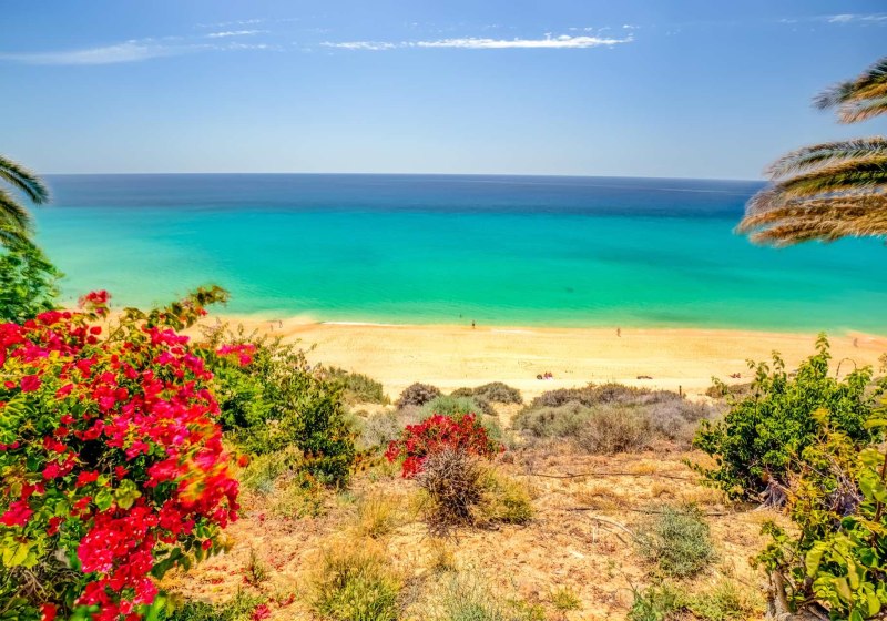 SBH Club Paraiso Playa