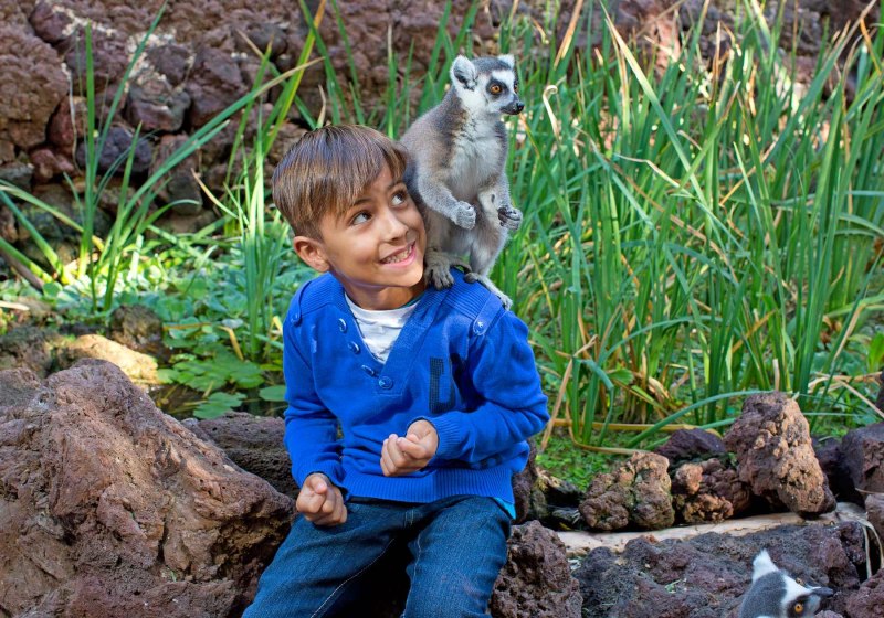 Aldiana Club Fuerteventura