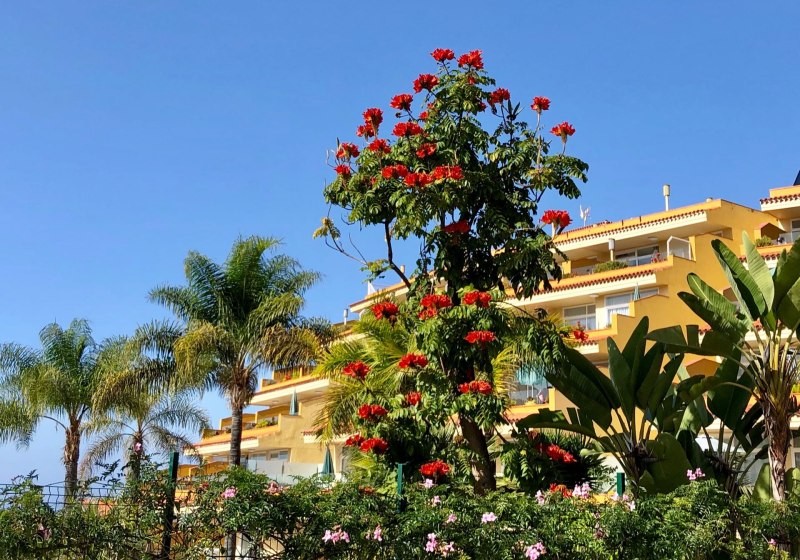 Ausstattung & Service