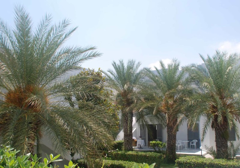 Ausstattung & Service