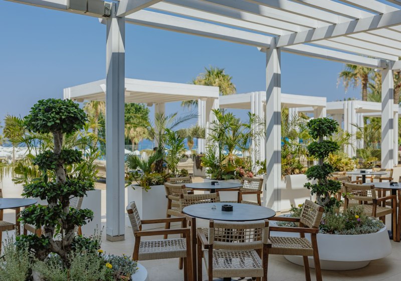 Kulinarik & Restaurants