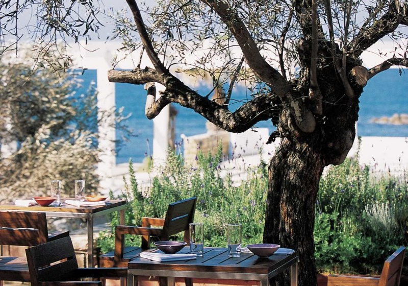 Kulinarik & Restaurants