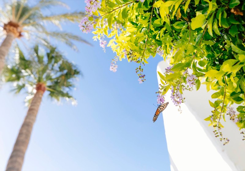 HD Parque Cristobal Tenerife