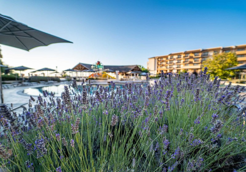 Ausstattung & Service