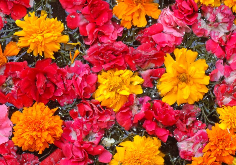 Wellness & Entspannung