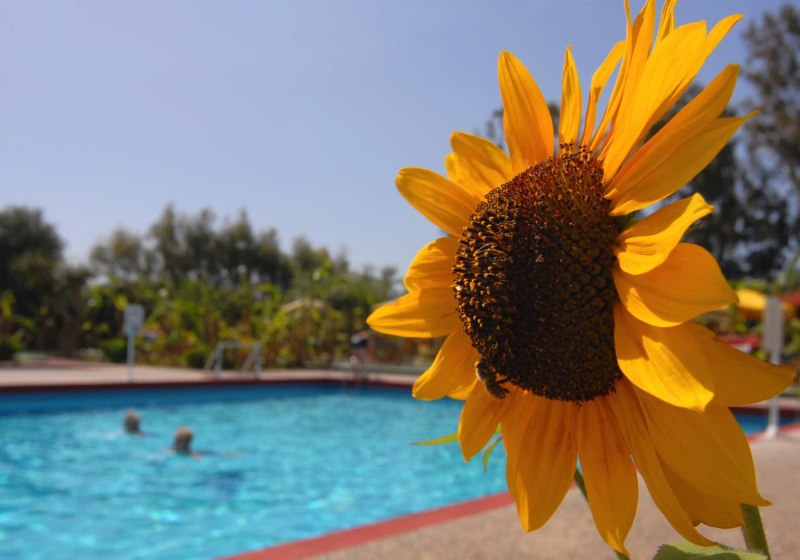 Ausstattung & Service