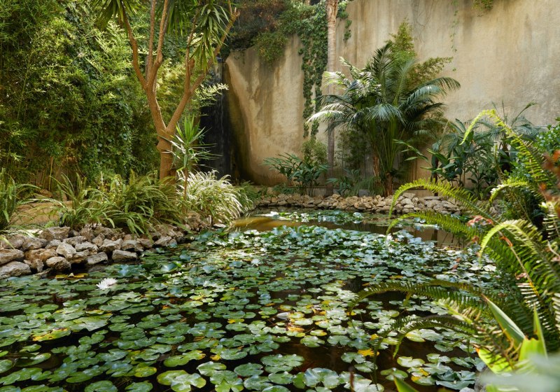 Wellness & Entspannung