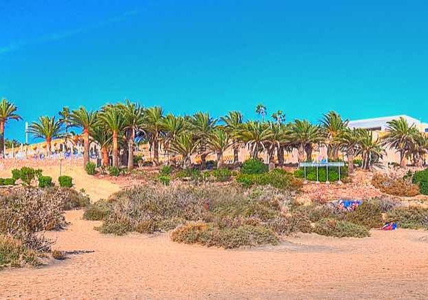 SBH Monica Beach App.