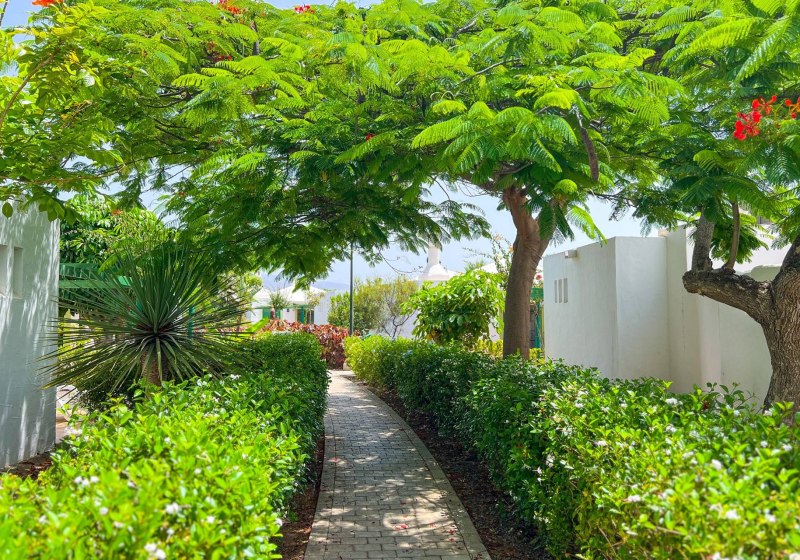 Ausstattung & Service