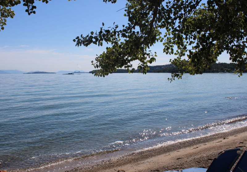 Dassia Beach